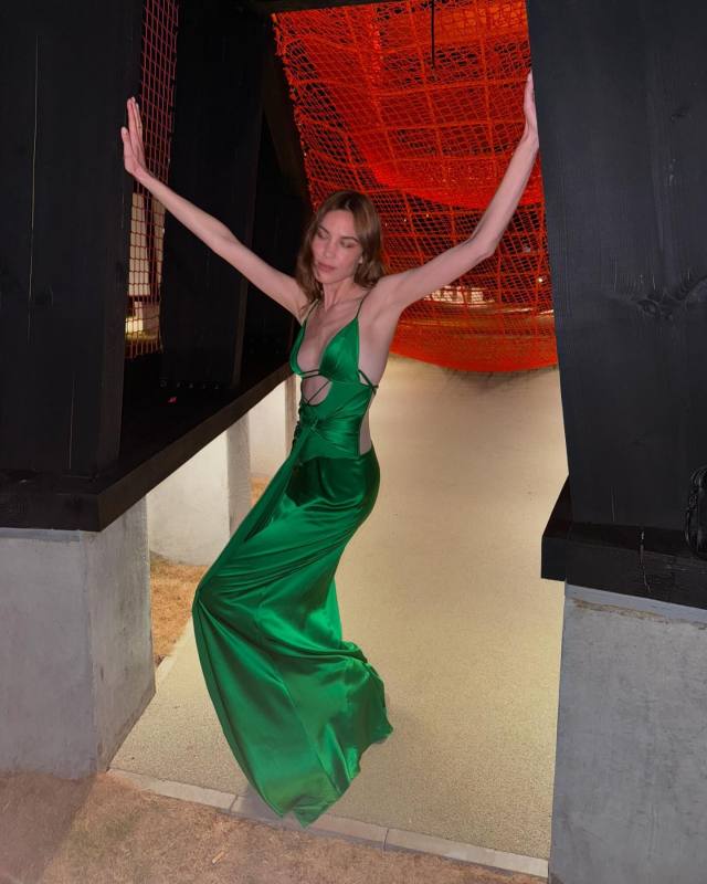 Nensi Dojaka Dress worn by Alexa Chung | alexachung's closet