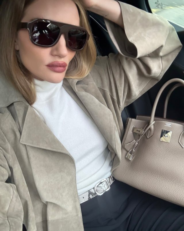 DÉHANCHE Mija Snake-Embossed Leather Belt, Heaven Mayhem Vittoria Sunglasses and HERMES Birkin Bag worn by Rosie Huntington-Whiteley | Rosie HW Outfits and Style