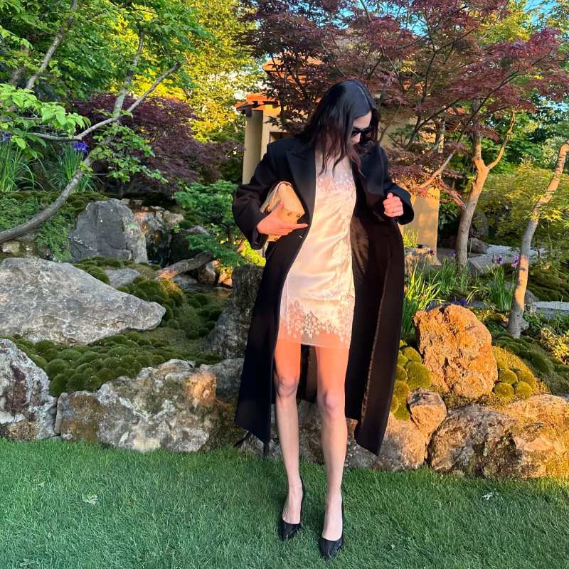 CARINE GILSON Lace-trimmed silk-satin chemise worn by Alexa Chung | Alexa Chung Outfits and Style