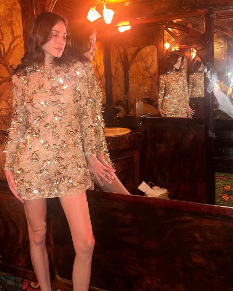 CELINE Dress worn by Alexa Chung | alexachung's closet