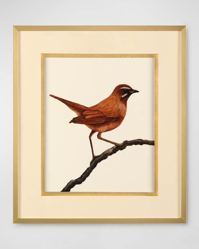 "Bird on a Branch III" Print