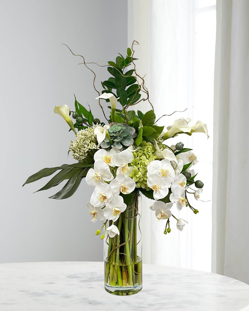 Split Philo Orchid in Vase