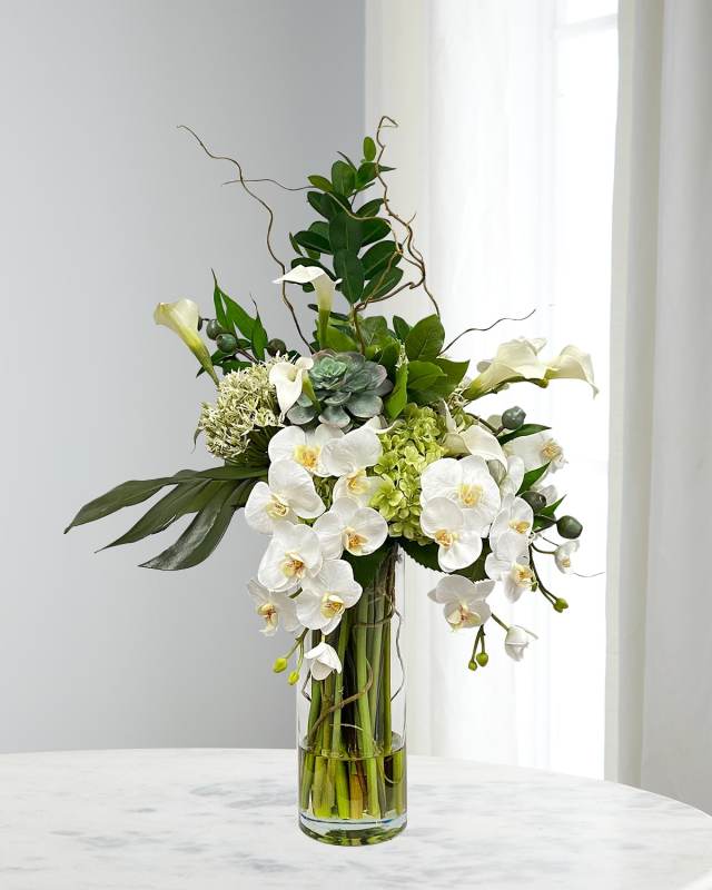Split Philo Orchid in Vase