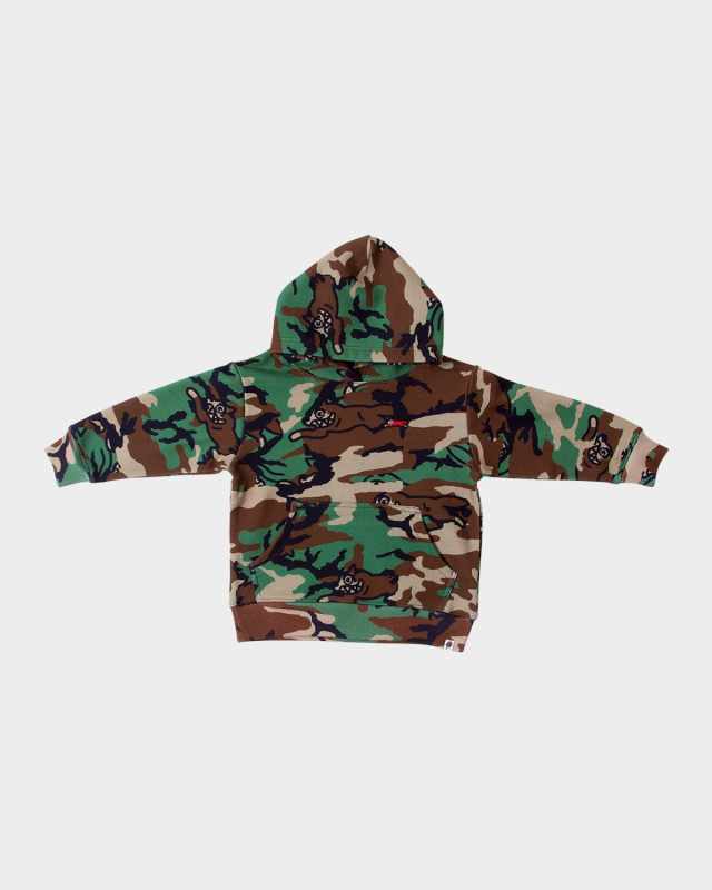 Boy's Peekaboo Camo-Print Hoodie, Size 2-10