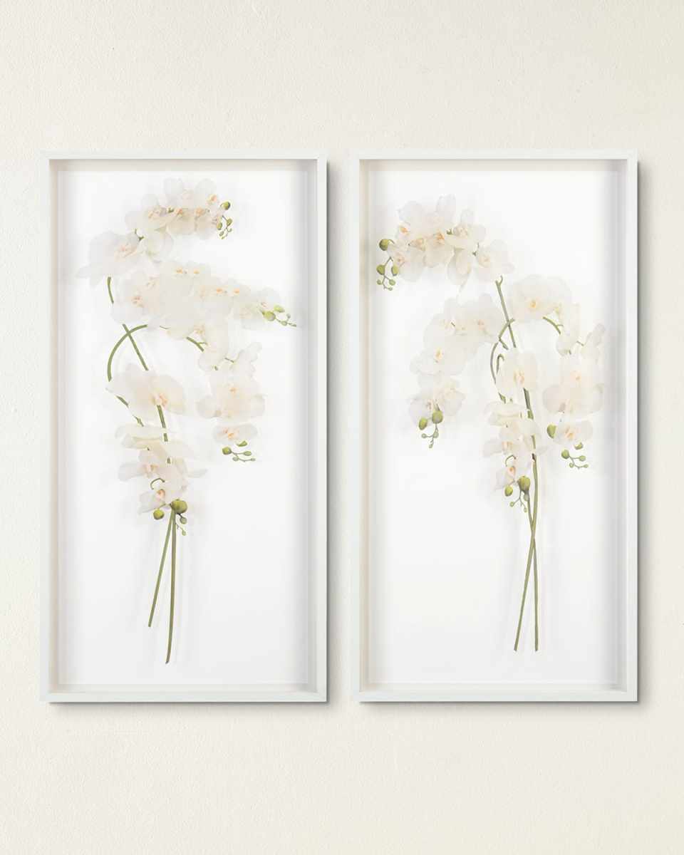 "Study of Orchids I" Wall Art