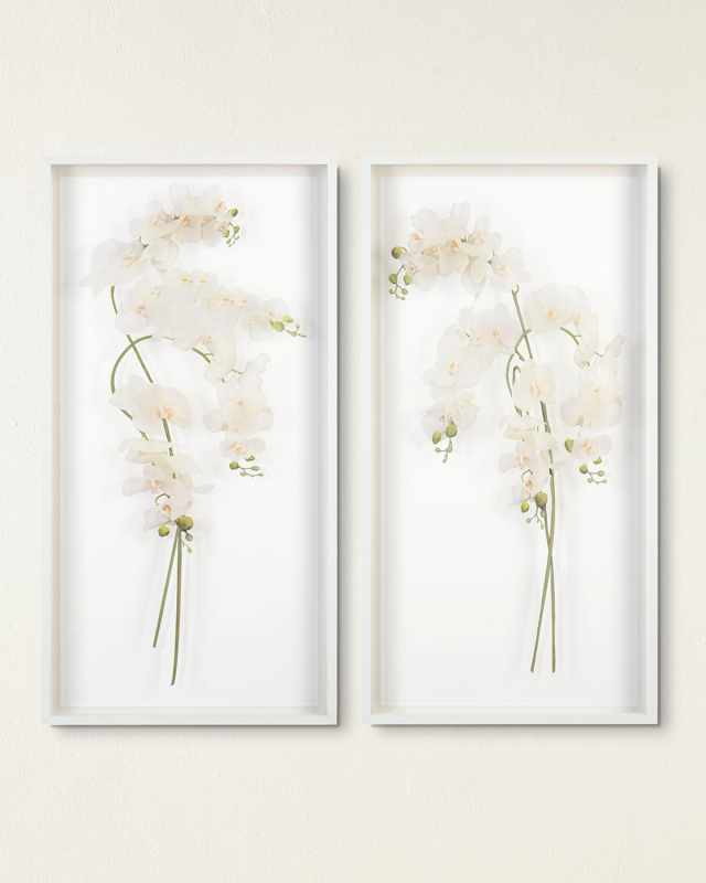 "Study of Orchids I" Wall Art