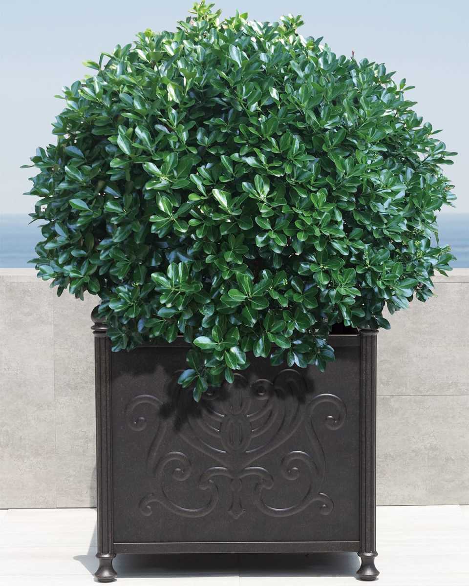 Tuscany Outdoor 24" Large Square Planter Box