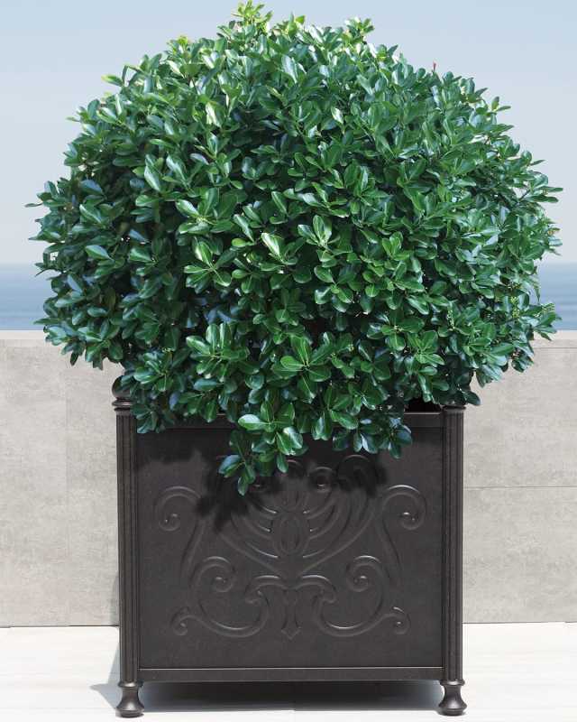 Tuscany Outdoor 24" Large Square Planter Box