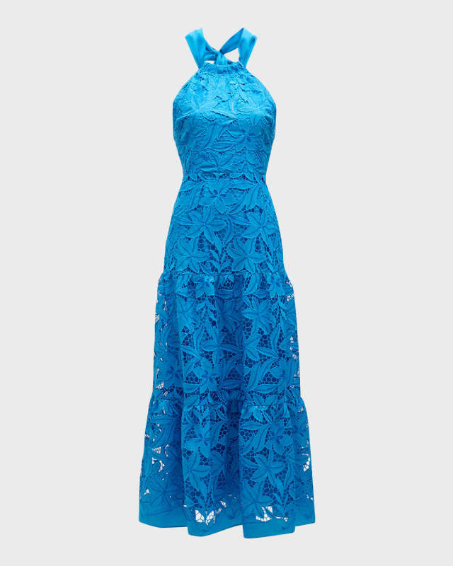 Hayden Sequin-Embellished Lace Midi Dress