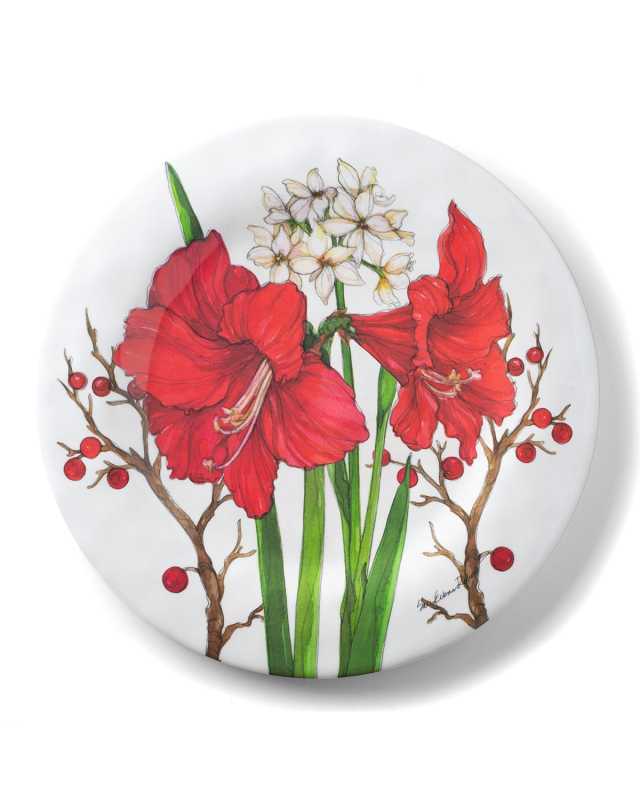 Amaryllis Dinner Plates, Set of 4