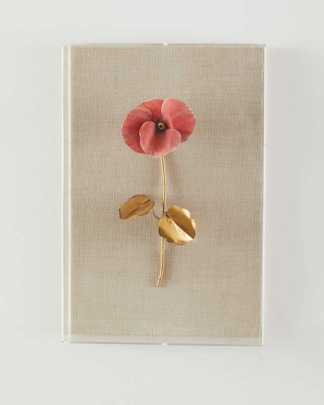 "Pansy Study 3" Wall Art