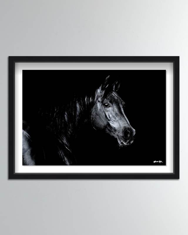 Stallion Stare Giclee on Paper