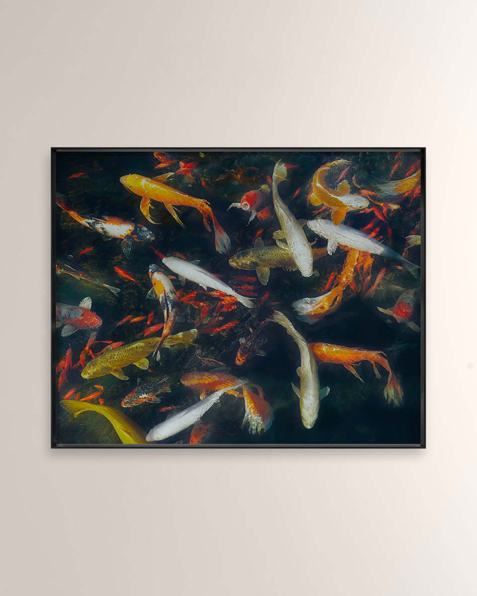 "Koi 1" Digital Art Print on Canvas by Kate Woodman