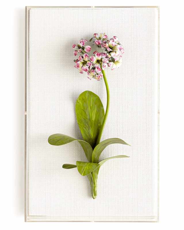 Original Painted Primula Study
