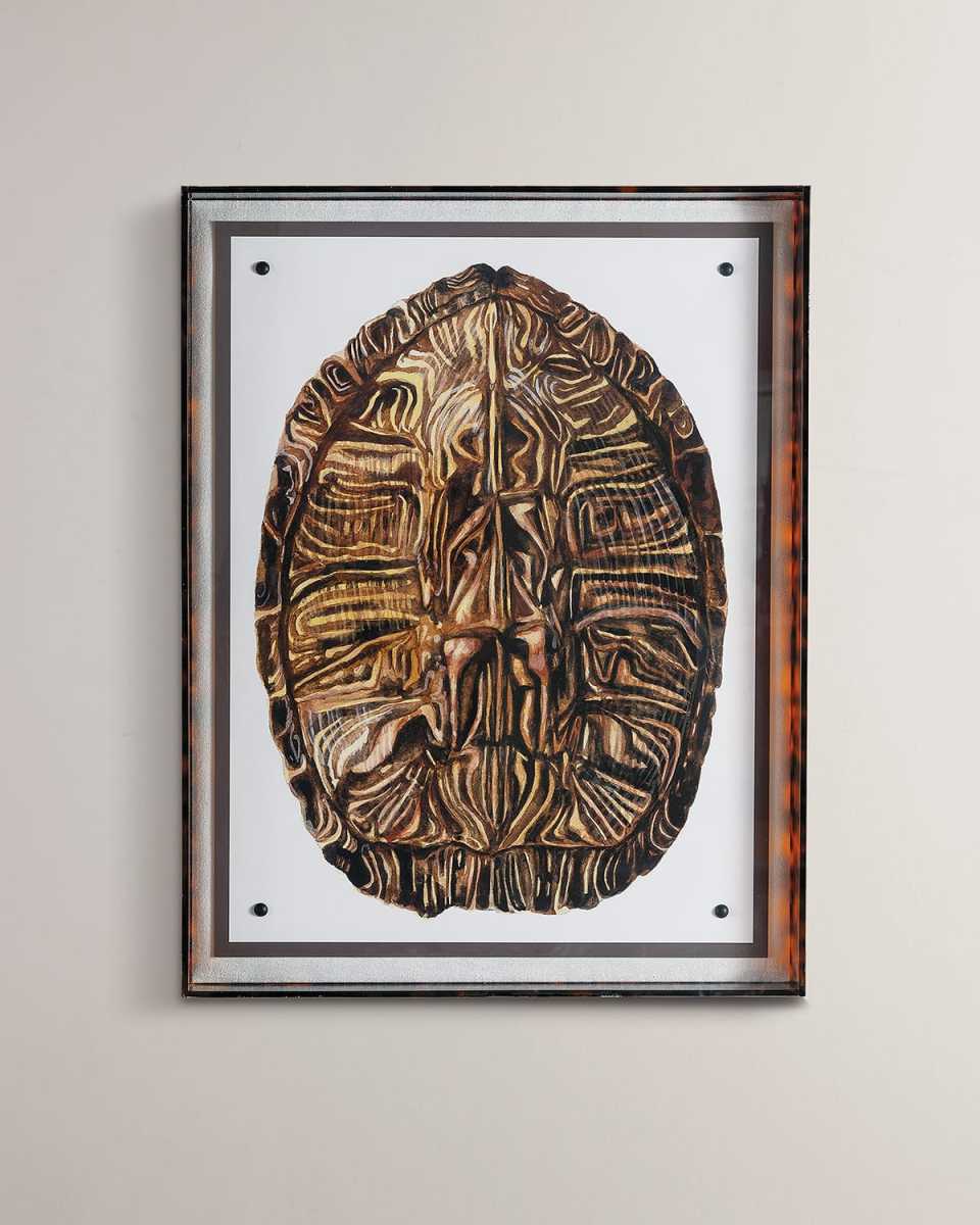 "Tortoise II" Giclee