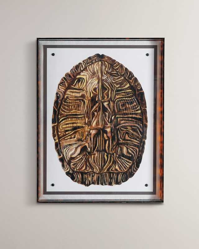 "Tortoise II" Giclee