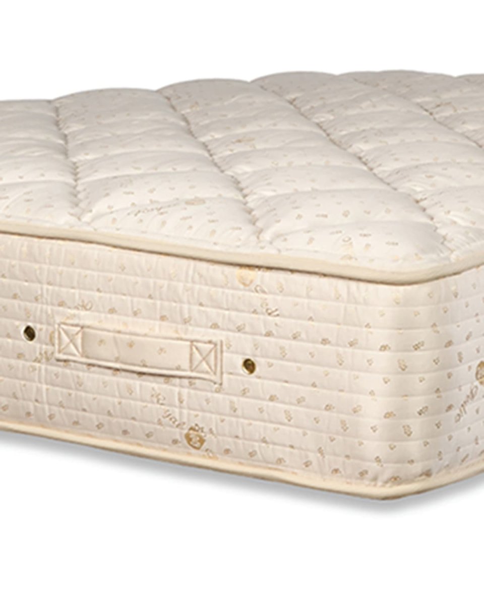 DREAM SPRING CLASSIC - PLUSH