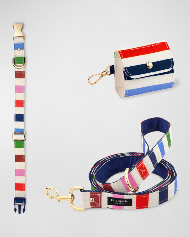 adventure stripe large dog accessories set