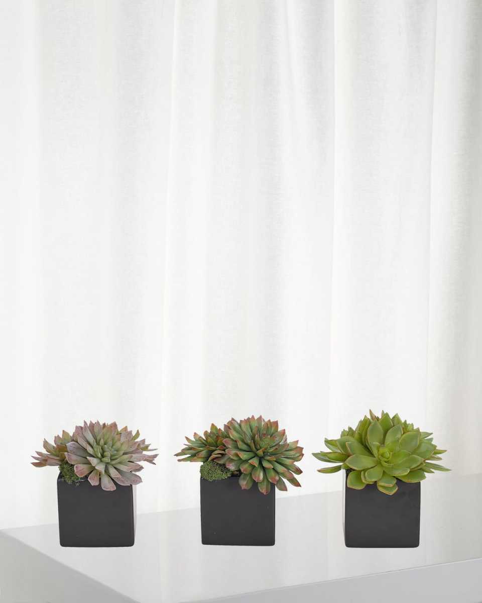 Faux Succulent Plant in Ceramic Planter, Set of 3