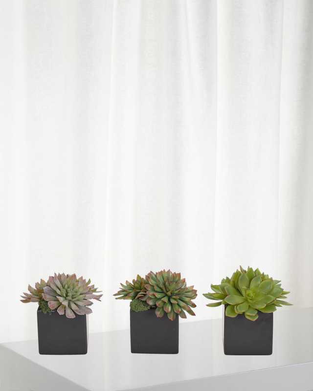 Faux Succulent Plant in Ceramic Planter, Set of 3