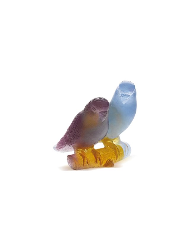 Amber Lovebirds