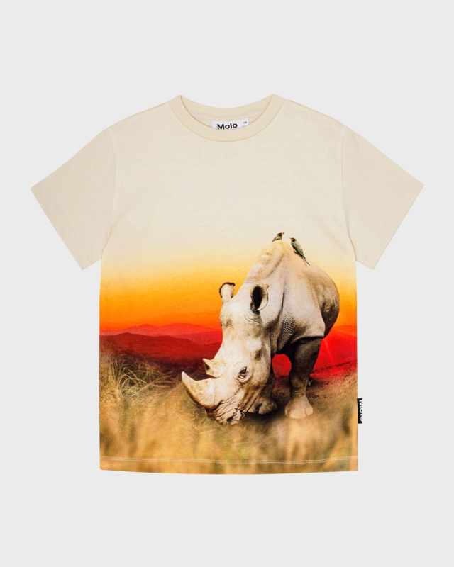 Boy's Roxo Graphic T-Shirt, Size 4-7