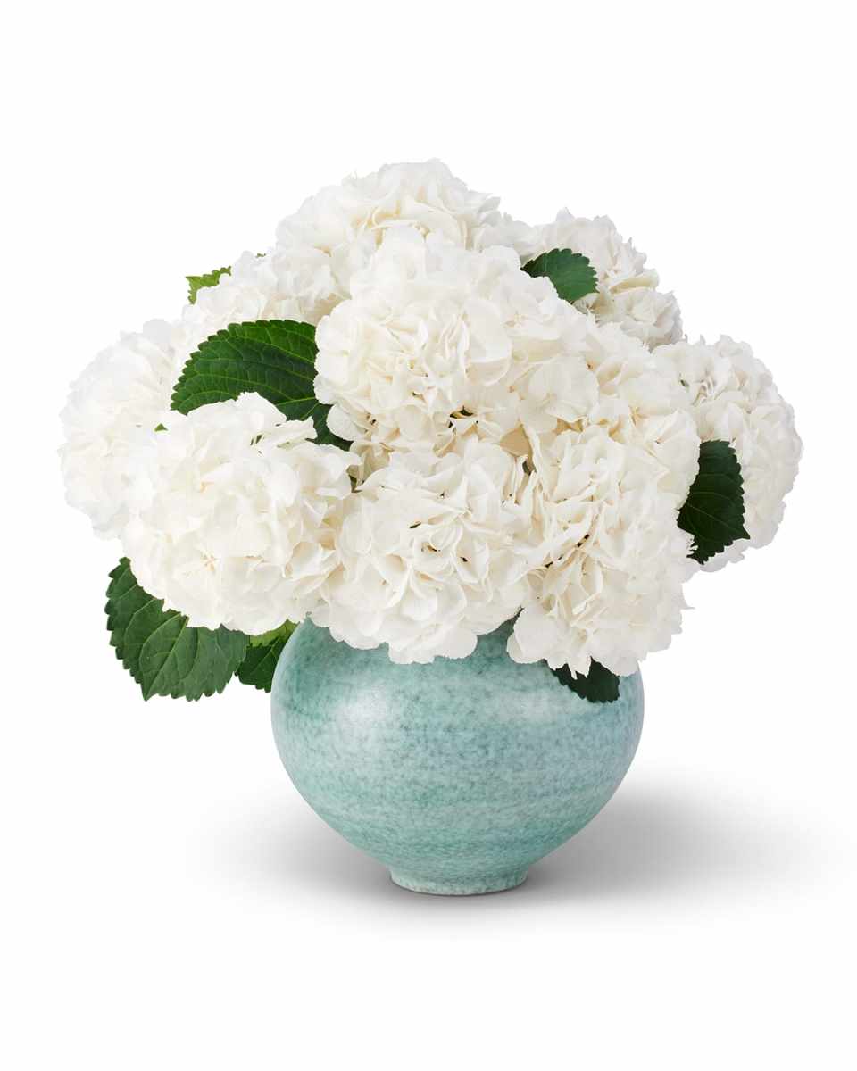Calinda Moon Vase