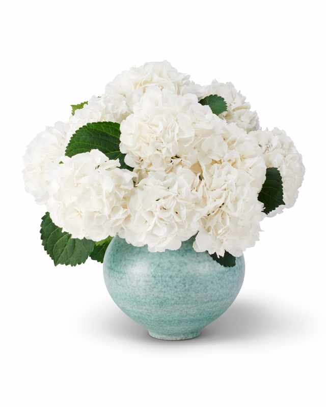 Calinda Moon Vase