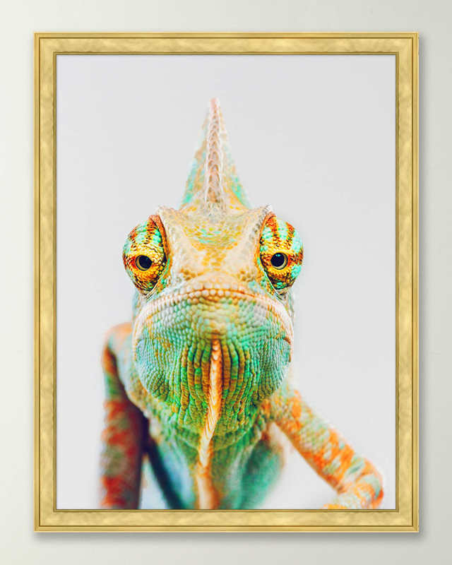 "Chameleon" Giclee