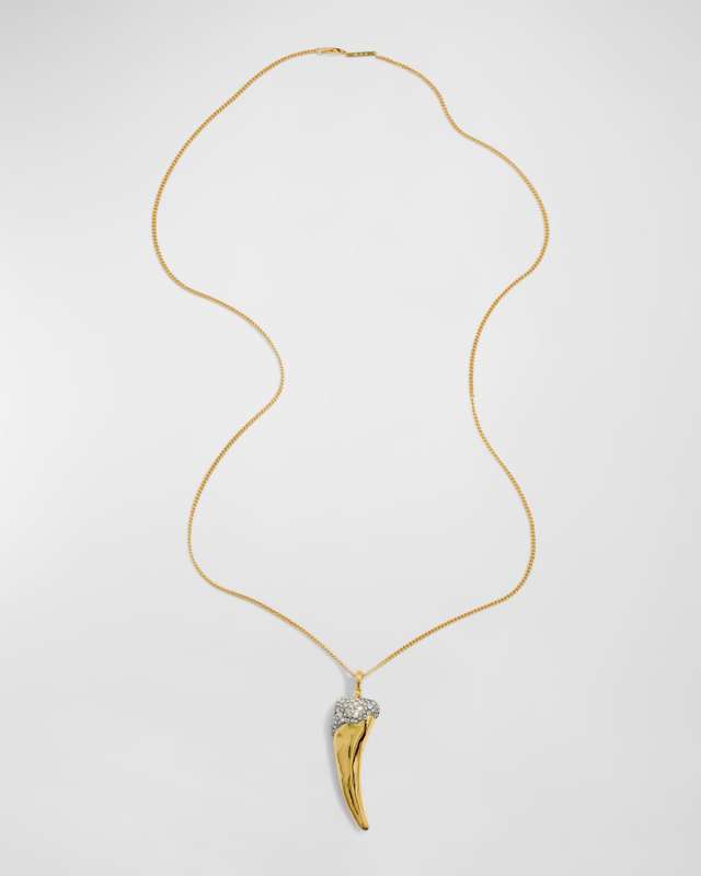 Solanales Crystal Horn Long Necklace