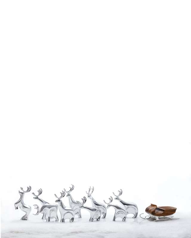 10-Piece Reindeer Collection