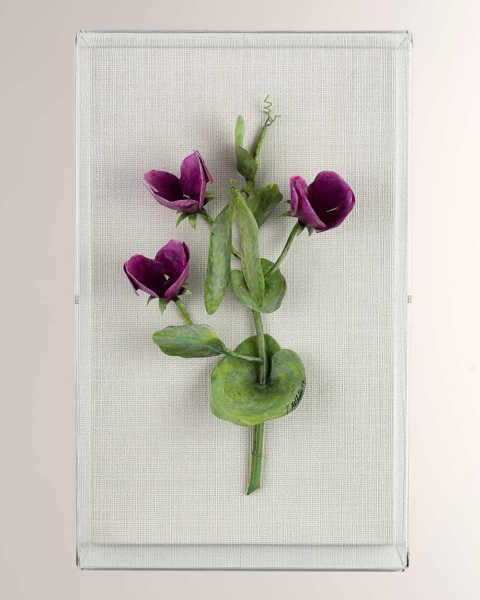 Sweet Pea April Birth Flower Wall Art