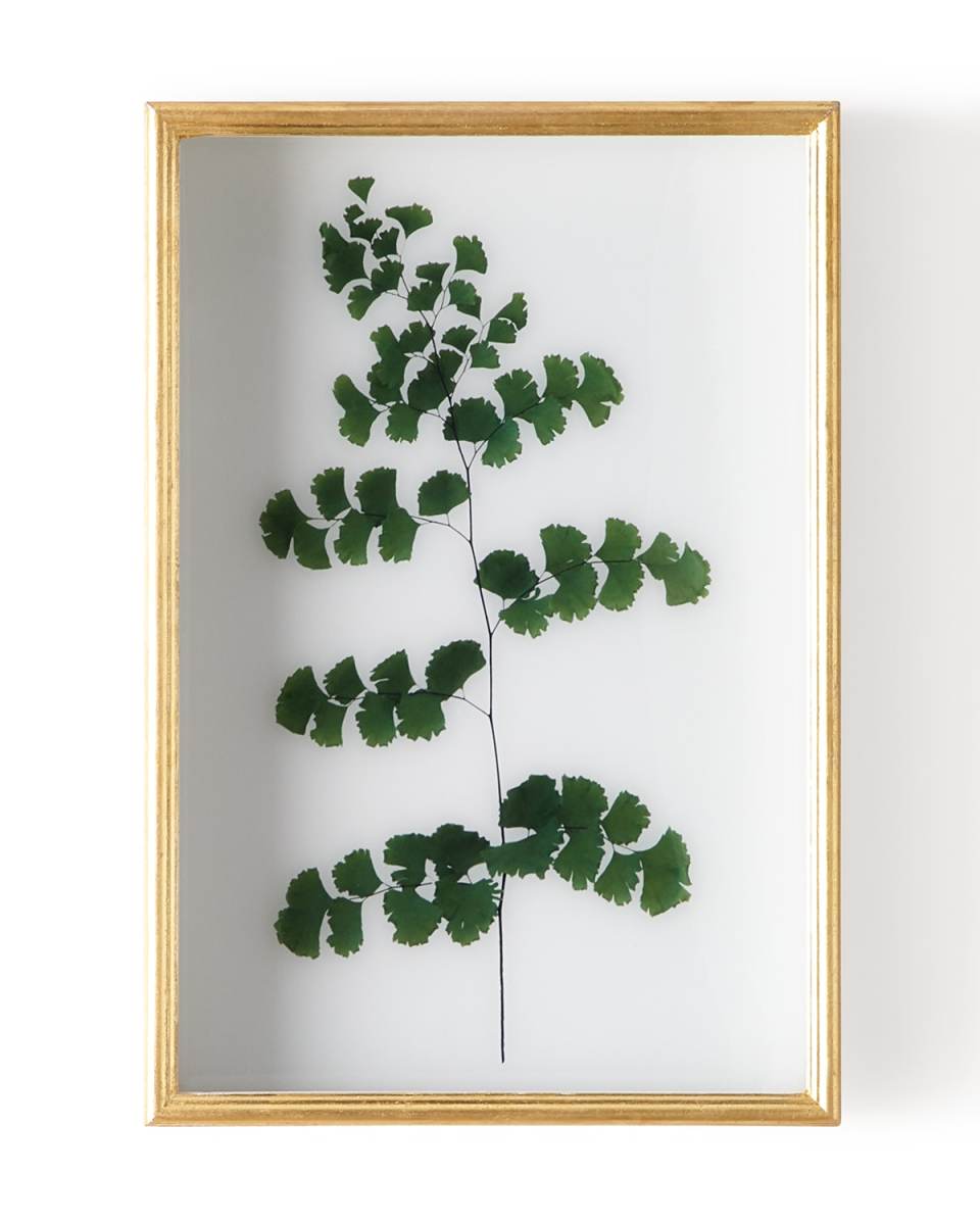 "Fern III" Shadow Box Display