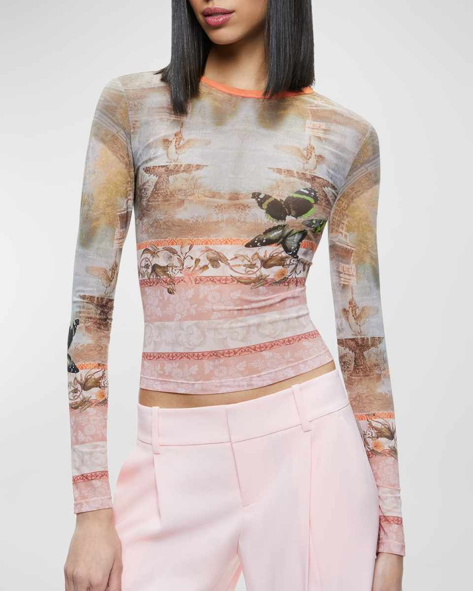 Delaina Printed Mesh Long-Sleeve Crop Top