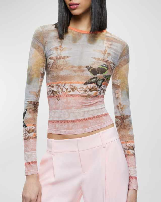Delaina Printed Mesh Long-Sleeve Crop Top