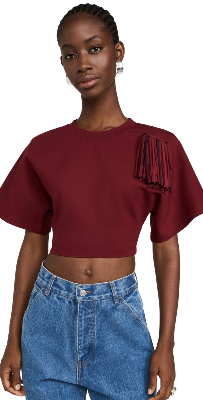 AREA Fringe Brooch Cropped T-Shirt Burgundy