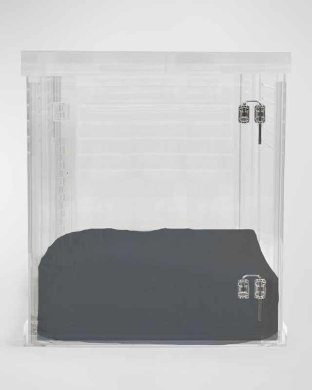 Large Clear View Pet Crate with Silver Latch