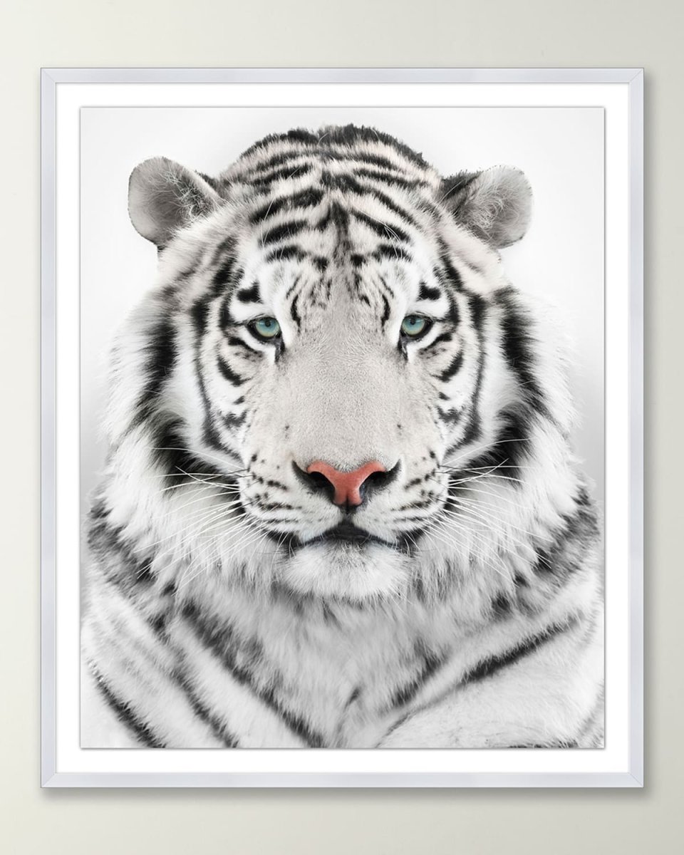 Snow Tiger Giclee