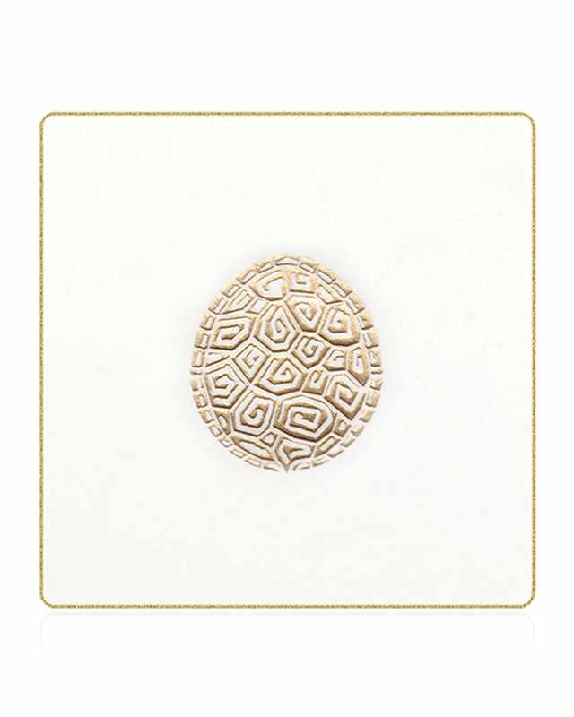 Tortoise Coasters, Set of 18