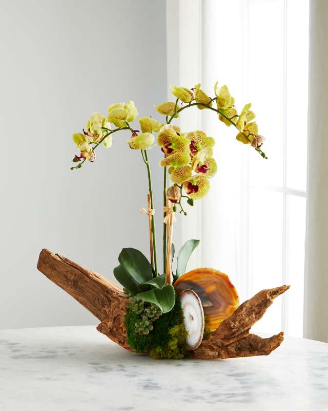 Green Orchid in Driftwood Agate Slabs
