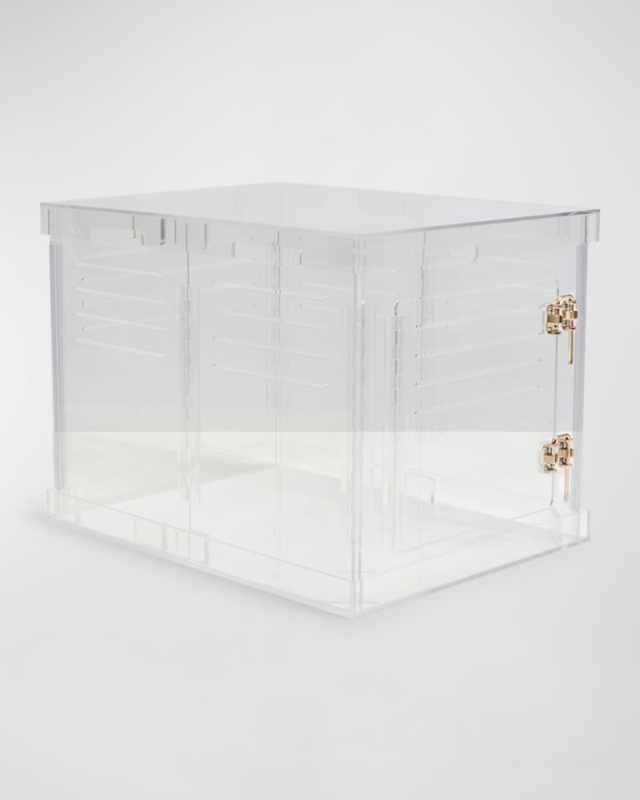 Small Clear View Pet Crate with Golden Latches