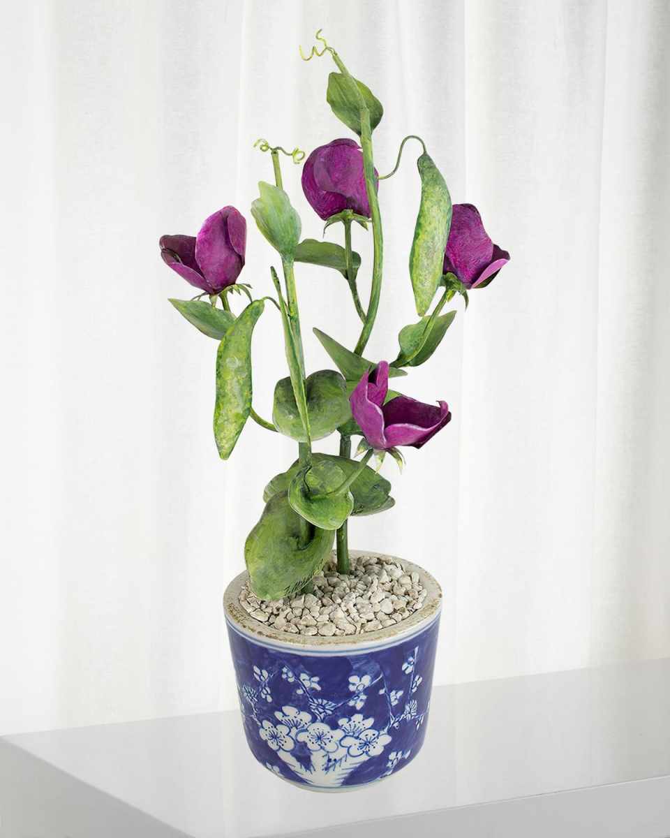 Sweet Pea April Birth Flower in Ceramic Pot