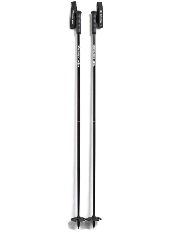 Ski poles