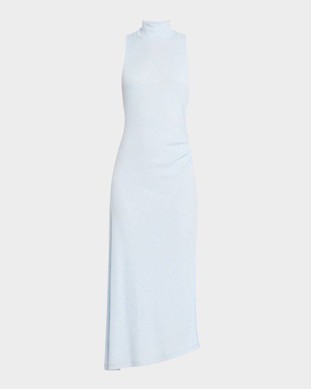 Ximena Turtleneck Midi Dress