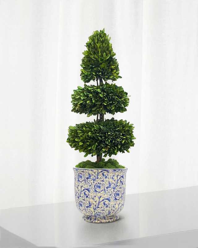 Rodeo Boxwood Topiary