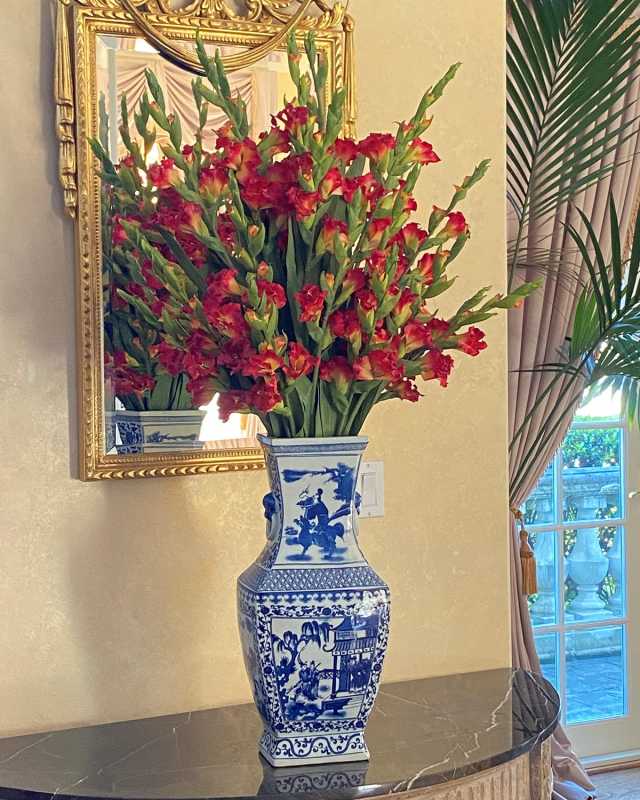 Red Gladiolus in Vase