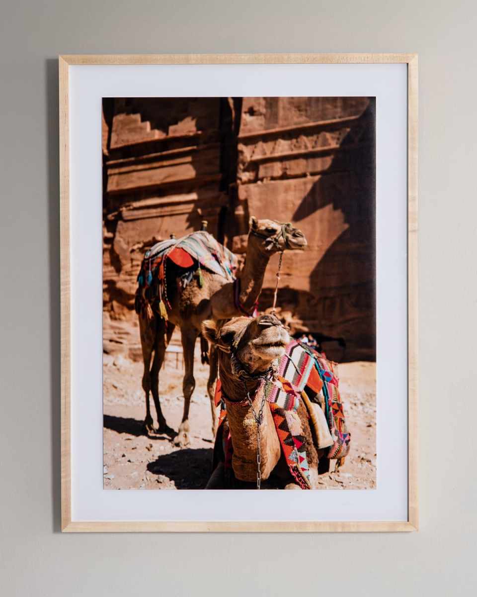 "Camels" Photography Print Framed Handmade Art