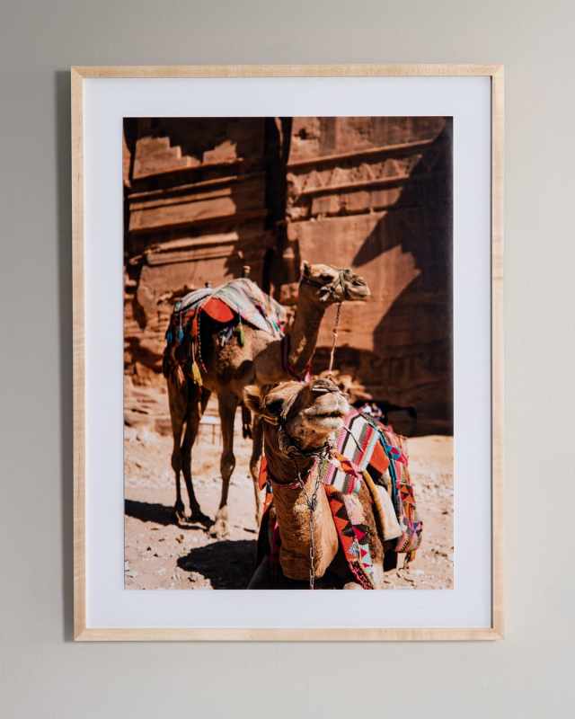 "Camels" Photography Print Framed Handmade Art