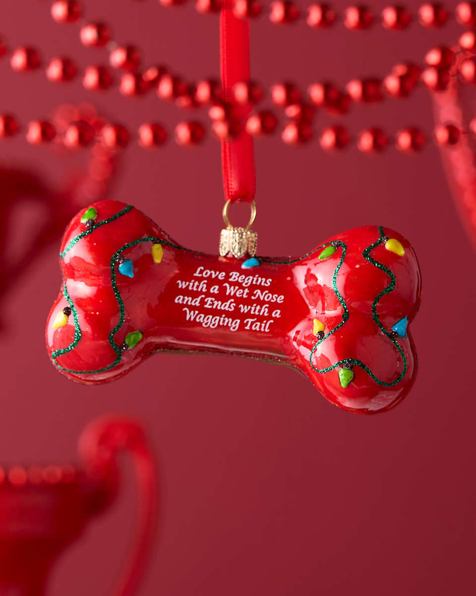 Dog Bone Christmas Ornament