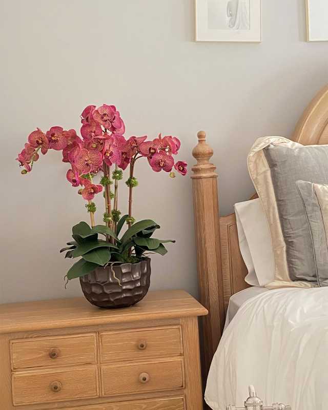 Orchid in Modern Bowl